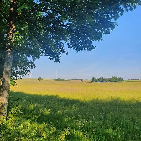 Schoene Aussicht Nettersheim Esterno foto
