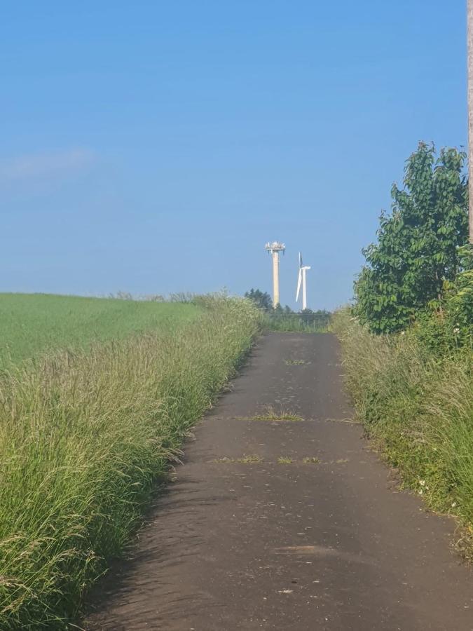 Schoene Aussicht Nettersheim Esterno foto
