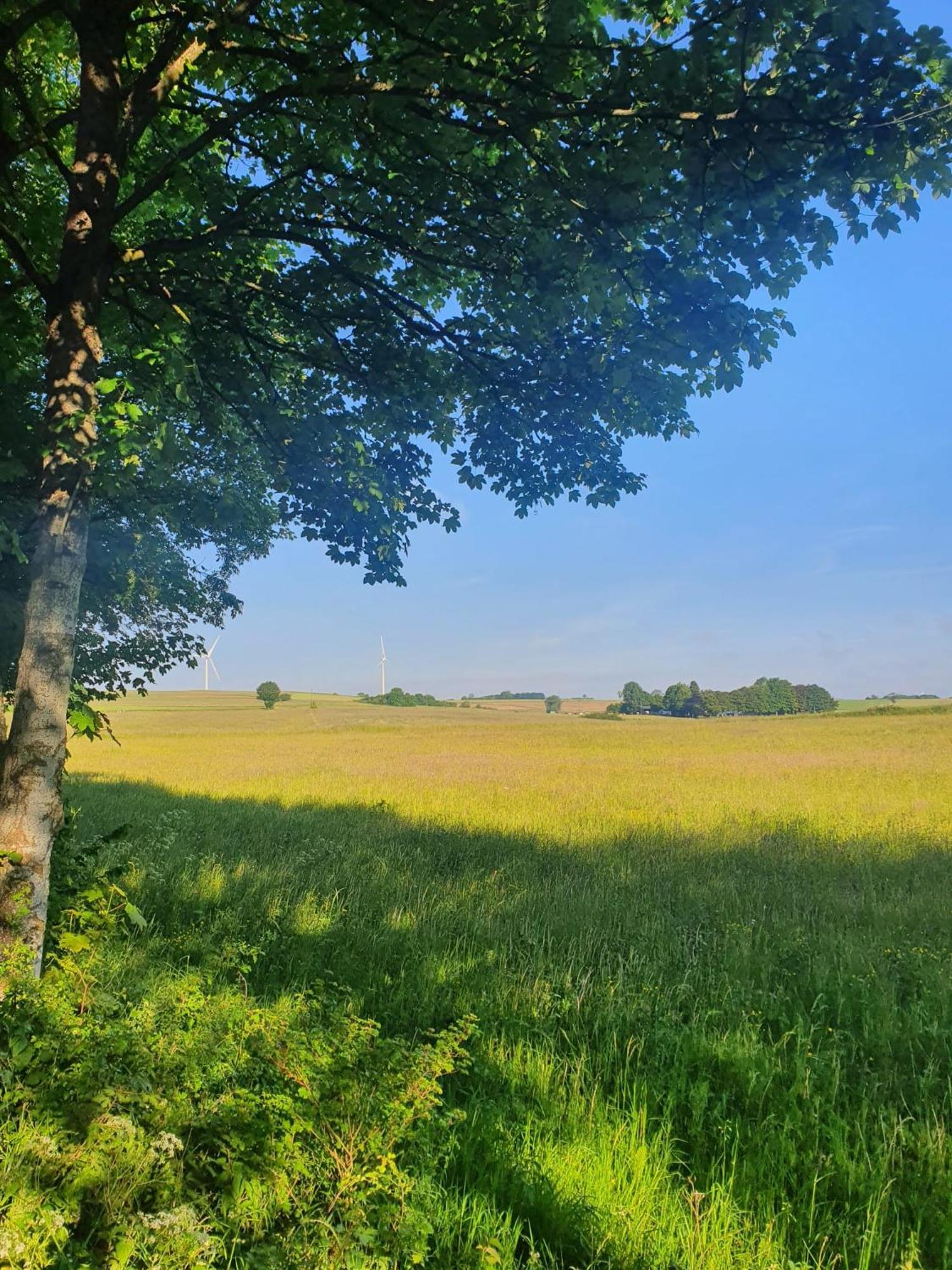 Schoene Aussicht Nettersheim Esterno foto