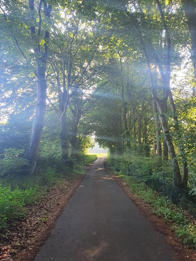 Schoene Aussicht Nettersheim Esterno foto